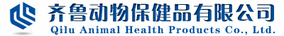 山東齊魯動(dòng)保